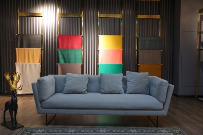 ��������չ��